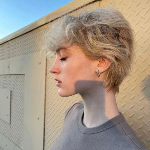 Textured Pixie Shag  haircut