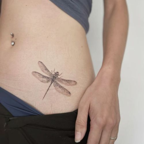 dragonfly tattoo on stomach